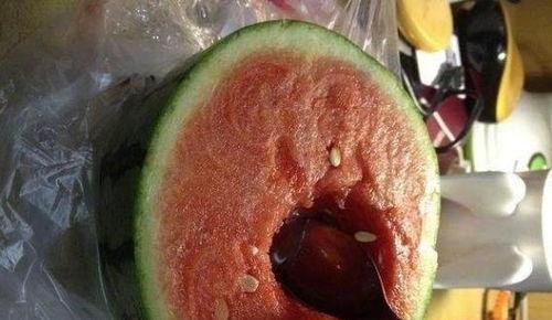 吃瓜吃惯,揭秘吃瓜群众的养成之路