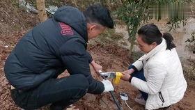 回农村过年吃瓜,品味农村独特“吃瓜”文化