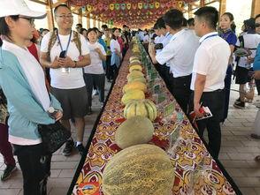 吃瓜的观众作品,吃瓜群众视角下的娱乐圈风云录