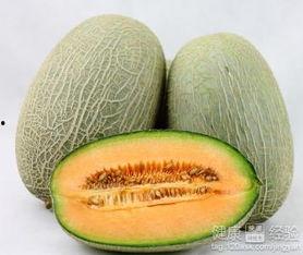 吃哈密瓜可以吃吗