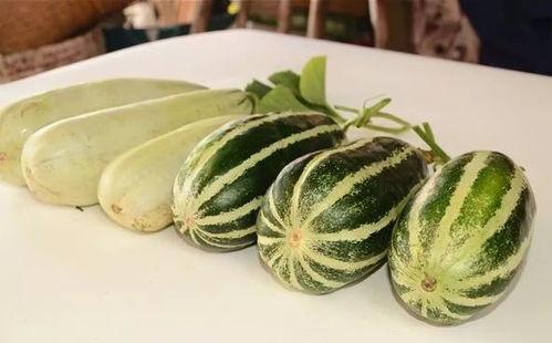 吃网红瓜是,吃瓜群众如何紧跟潮流