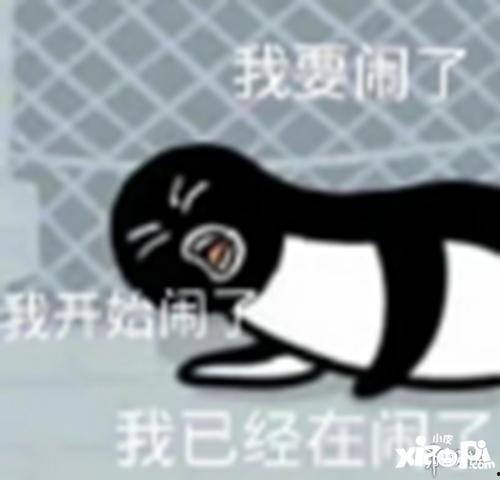 无聊睡不着吃瓜,无聊失眠者的解闷秘籍