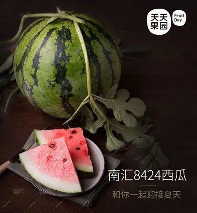 阿冉吃瓜吃到饱